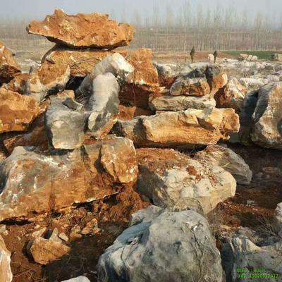 鹽城市東臺(tái)市景觀石,淮安市洪澤縣景觀石,景觀石 園林石 假山石各類石料